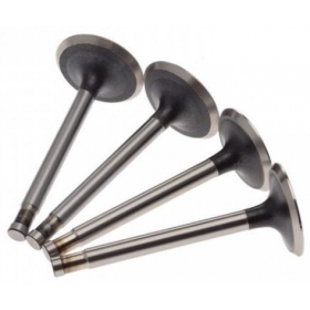 Valve kit DNIEPR 11/16 / MT 650-850 4vnt.