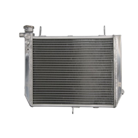 Variklio radiatorius YAMAHA YZF-R1 1000 2000-2001