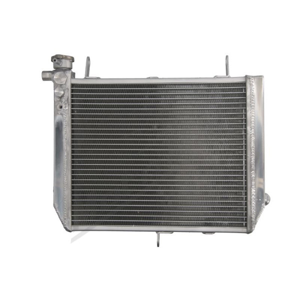 Variklio radiatorius YAMAHA YZF-R1 1000 2000-2001
