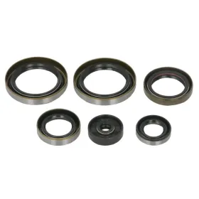 Winderosa Variklio riebokšlių kompl. Gas Gas / Husqvarna / KTM 125-150 16-24