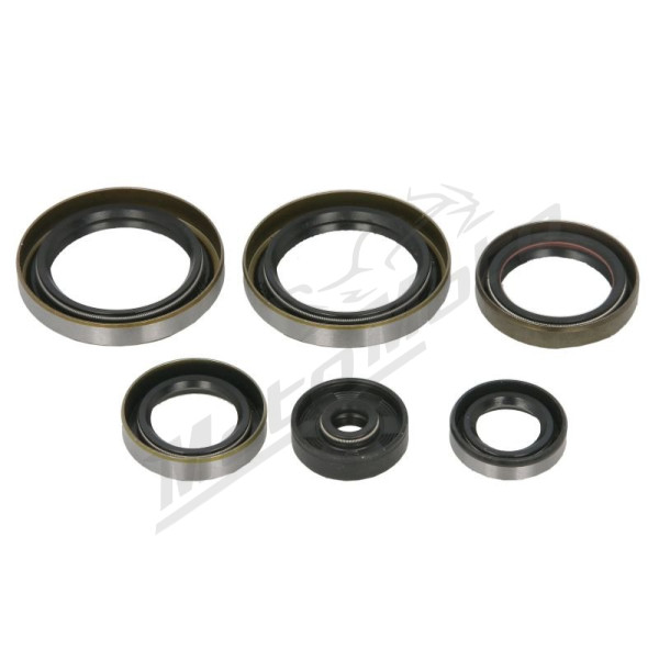 Winderosa Variklio riebokšlių kompl. Gas Gas / Husqvarna / KTM 125-150 16-24