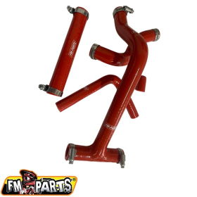 Fm-parts silicone radiator hoses/hoses Beta RR 250-300 20-24