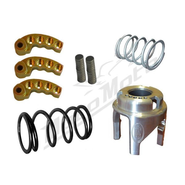 SPI sankabos komplektas su reguliuojamais svoriais Arctic Cat M / Norseman / Riot / XF / ZR 8000 16-21