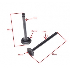 Valve kit 50/80cc