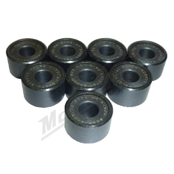 BANDO Variator weight set (25x15) 17,0g (8x)