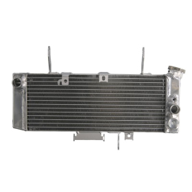 4Ride Radiator SUZUKI SV 650 2003-2004