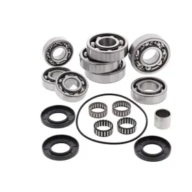 ALL BALLS Rear differential repair kit Polaris Scrambler 4x4 500 02–12