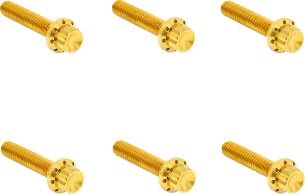 Arlen Ness Set Of Bolts For The Transmission Side Cover Harley Davidson FLFBS / FLHCS 1923-1977cc 23-25