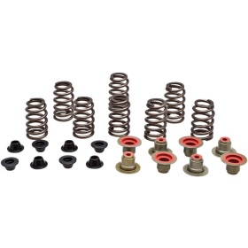 KIBBLEWHITE Beehive Valve Spring Kit Polaris RZR 1000 2014