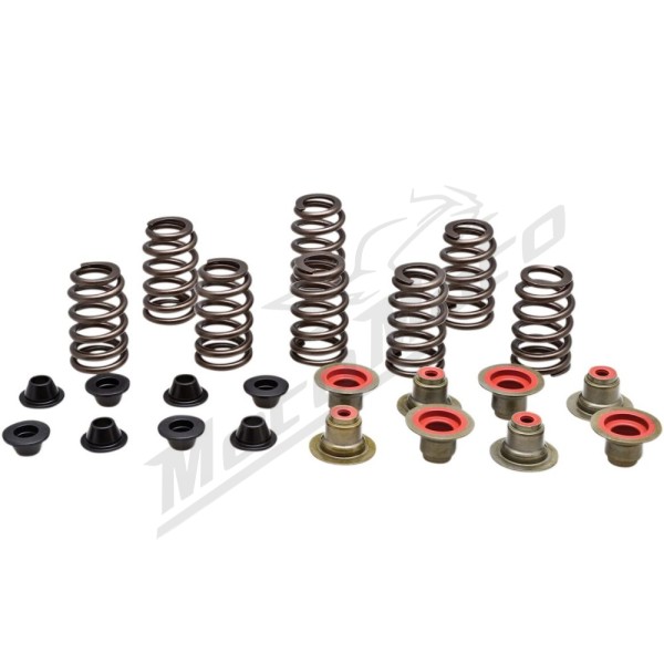 KIBBLEWHITE Beehive Valve Spring Kit Polaris RZR 1000 2014