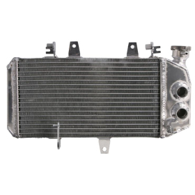 Radiator 4RIDE BMW F 650-800cc 2004-2018