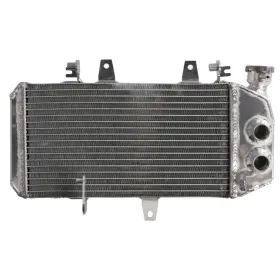Radiator 4RIDE BMW F 650-800cc 2004-2018
