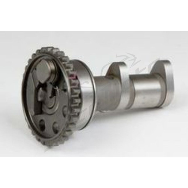 Hot Cams paskirstymo velenas (išmetimo) Yamaha YZ 450 F 03-09