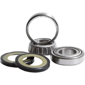 PIVOT WORKS Steering Stem Bearing Kit Harley Davidson FLD / FLH / FLHB / FLHR / FLHS / FLHTC / FXDC / FXDF / FXS / XL / XR 883-1690 60-24