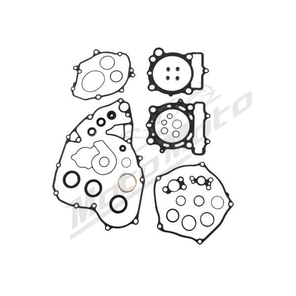 Complete Gasket Kit with Oil Seals Kawasaki KX 250 21-24