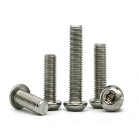 Stainless steel bolt M5 1pc