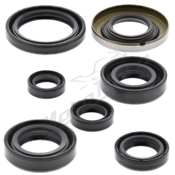 Winderosa (vertex) set of engine seals Honda XR 400 R 96–98