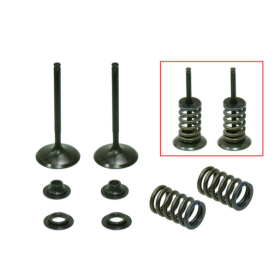 Psychic Valve set with springs and washers. Honda CRF / TRX 450R/ER 02-14