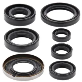 Winderosa (vertex) set of engine seals Honda XR 400 R 99–04