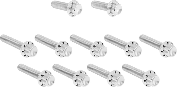 ARLEN NESS Cam Cover/Point Cover Titanium 12-Point Bolt Kit 12pcs. M8