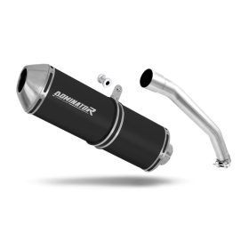 Triumph TIGER 900 T709 1999-2000 Exhaust Silencer Muffler OVR BLACK + dB killer