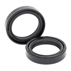 Oil seals 4RIDE 55-119 41X54X11 BMW / DUCATI / HARLEY DAVIDSON / HONDA / KAWASAKI / SUZUKI 250-1500 1983-2019 2pcs