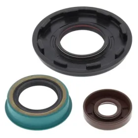 Winderosa (vertex) set (kit) of engine seals Polaris Sportsman 600 4x4 03–05