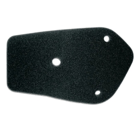 TECNIUM Air Filter - Daelim S-Five / A-Four / E-Five / Cordi 50 04-16