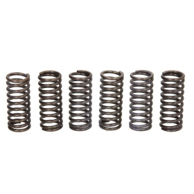 TRW Clutch springs set Ducati Hypermotard / Monster 620-796 02-12