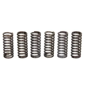 TRW Clutch springs set Ducati Hypermotard / Monster 620-796 02-12