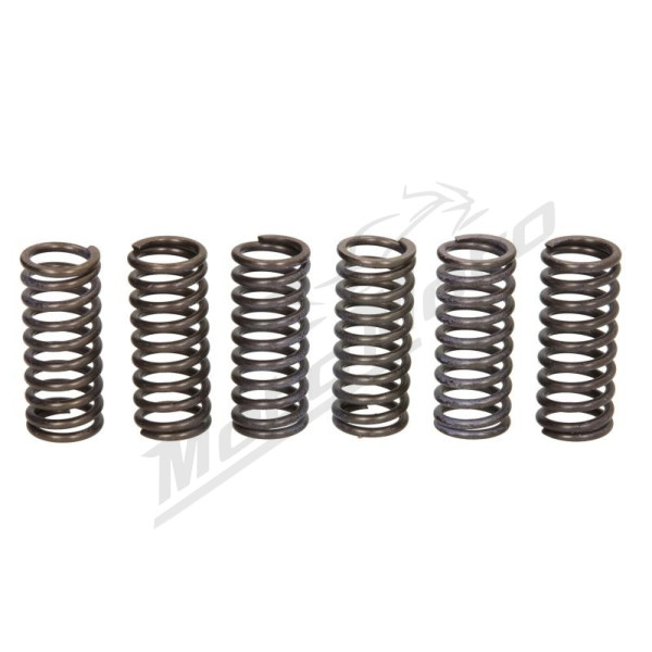 TRW Clutch springs set Ducati Hypermotard / Monster 620-796 02-12