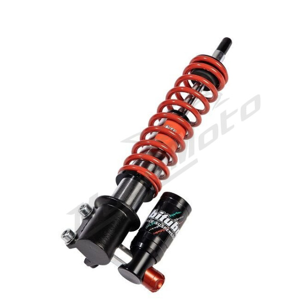 BITUBO S.R.L. Front Forks Assemblies Vespa GTS 125-300cc 22-24