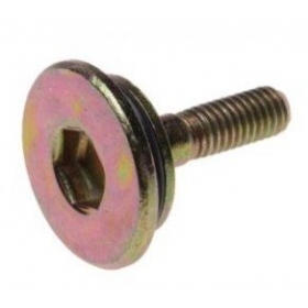 Chain tensioner bolt M6x1,0 1pc