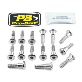 PRO BOLT Stainless Steel Brake Rotor Mounting Bolt Kit Suzuki GSF / GSX / GSX-R / SV / TL 600-1400cc 96-07
