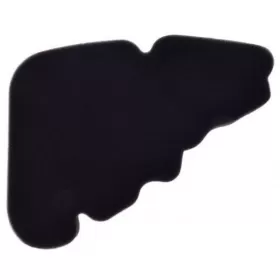 Oro filtro kempinė HIFLO HFA5204DS PIAGGIO LIBERTY 50-200cc 2000-2015