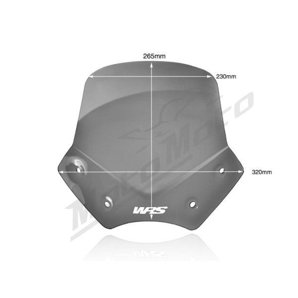 WRS BM046FS SPORT Windscreen Dark Smoke BMW R1200R 06-14