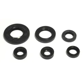 Athena Engine simmerings' sets Yamaha XT / YBR 125 05-13