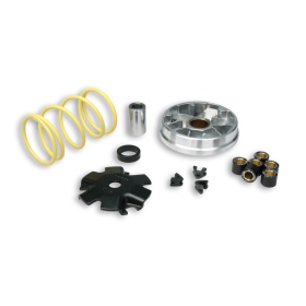 Variator kompl. MALOSSI Multivar Honda (Peugeot vertical) (Old) 50 2T (16x13)