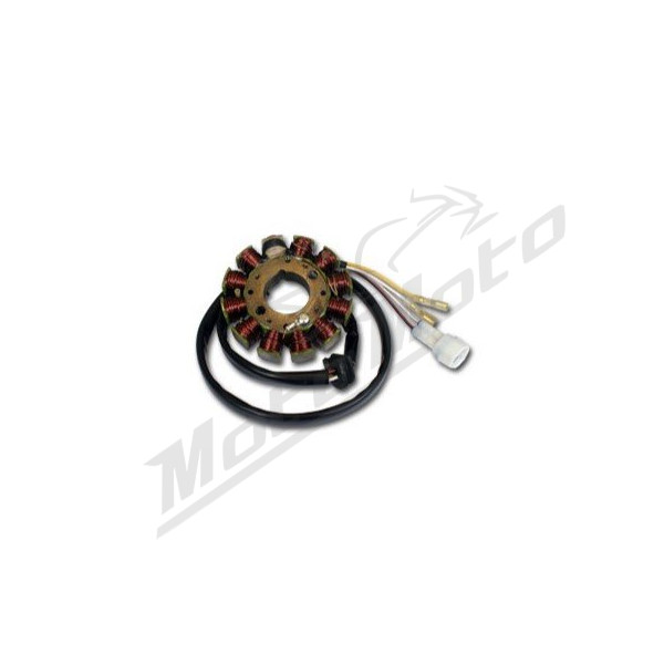 ELECTREX Stator Husaberg FC / FE / FS / FX / TE 125-650cc 04-12