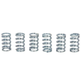 TRW Sankabos spyruoklių kompl. Honda / Kawasaki 80-1400 84-15