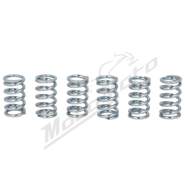TRW Clutch springs set Honda / Kawasaki 80-1400 84-15