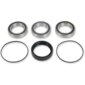 PIVOT WORKS Wheel Bearing Kit Honda TRX 450 04-14