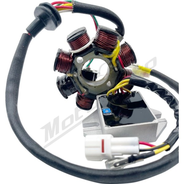 RICK'S MOTORSPORT ELECTRIC Lithium-Ion Compatible Charging Kit Husqvarna / KTM 144-300cc 07-21