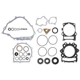 Winderosa Engine gaskets - set (with oil seals)