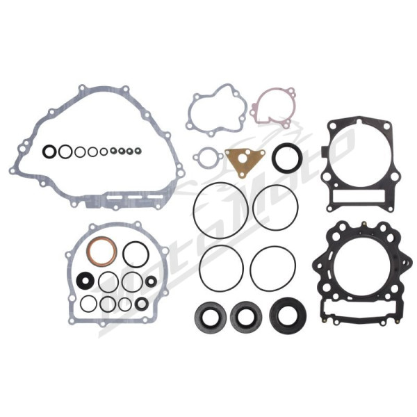 Winderosa Engine gaskets - set (with oil seals)