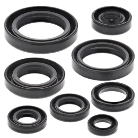 Winderosa (vertex) set of engine seals Honda CR 125 R 84–85