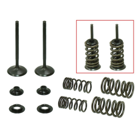 Psychic exhaust valves Honda CRF 450 X 05-17