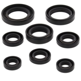 Winderosa (vertex) set of engine seals Honda TRX 200 90-97