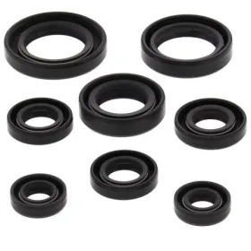 Winderosa (vertex) set of engine seals Honda TRX 200 90-97