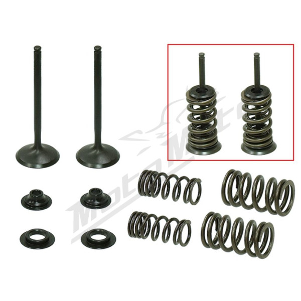 Psychic exhaust valves Honda CRF 450 X 05-17